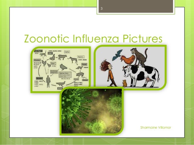 Zoonotic Influenza