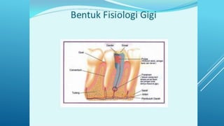 Presentation1