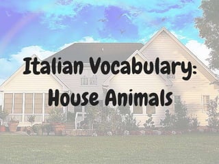 Italian Vocabulary Words: House Animals