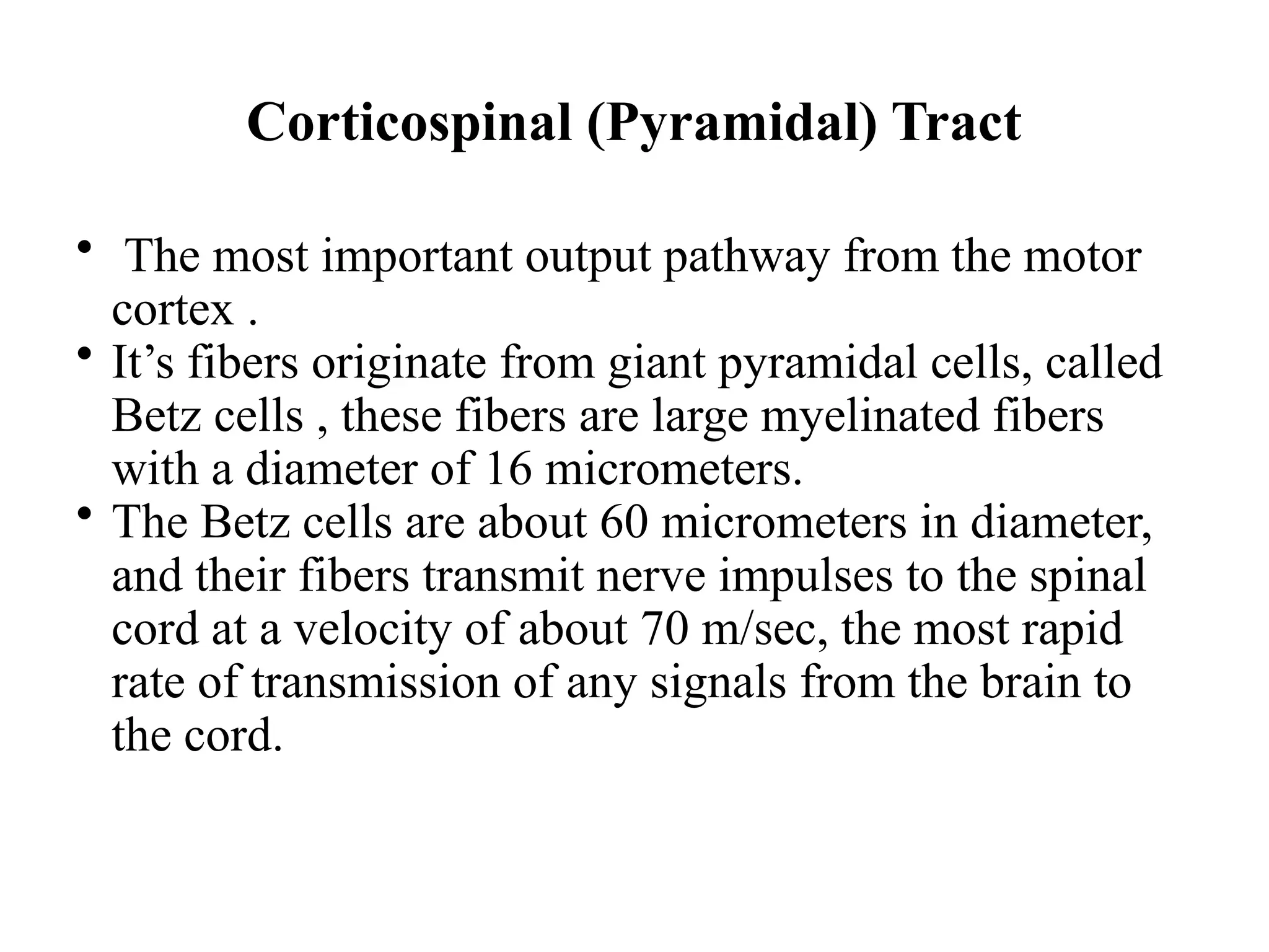 Corticospinal (Pyramidal) Tract
 The most important output pathway from the motor
cortex .
 It’s fibers originate from giant pyramidal cells, called
Betz cells , these fibers are large myelinated fibers
with a diameter of 16 micrometers.
 The Betz cells are about 60 micrometers in diameter,
and their fibers transmit nerve impulses to the spinal
cord at a velocity of about 70 m/sec, the most rapid
rate of transmission of any signals from the brain to
the cord.
 