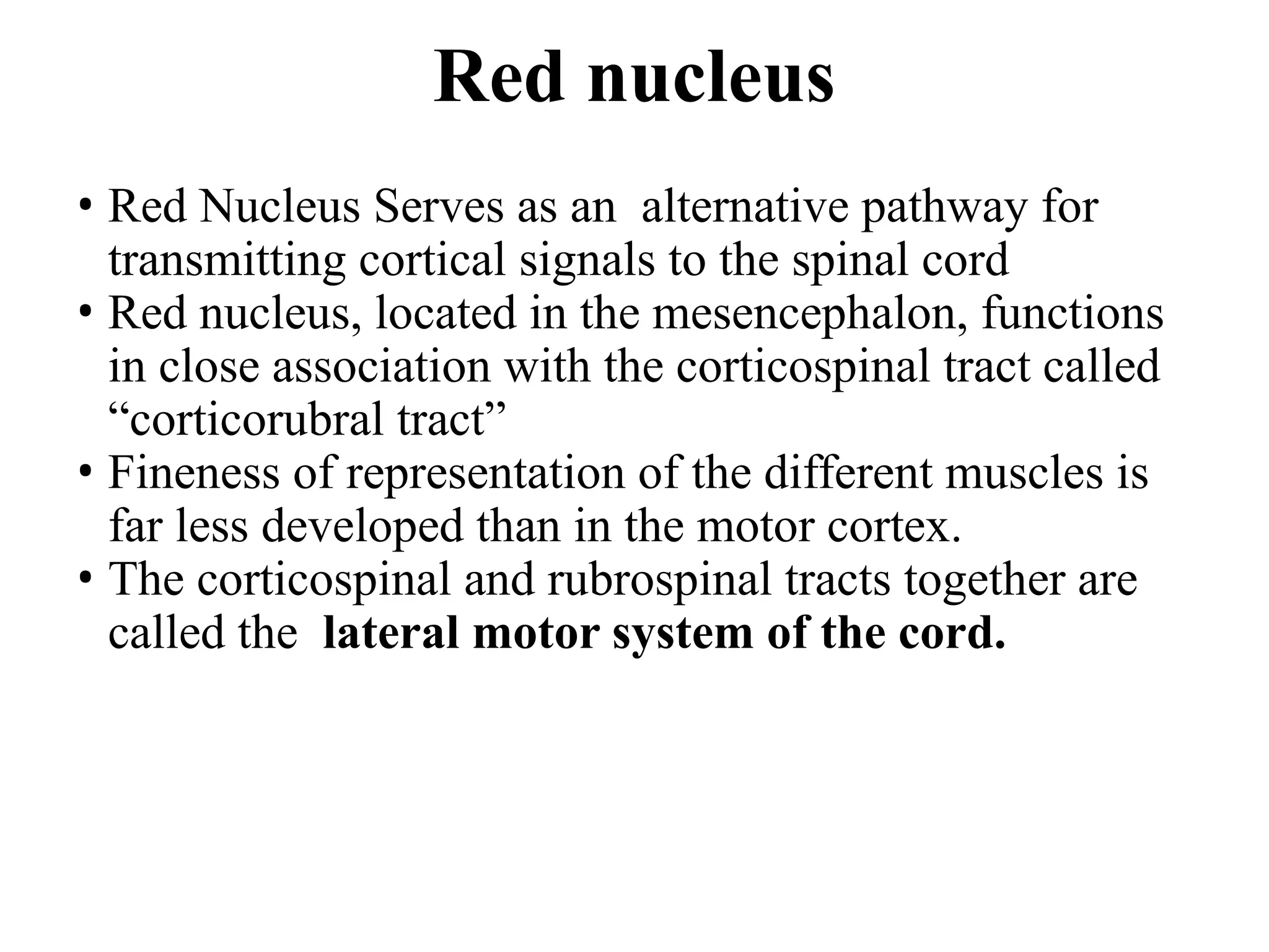 Red nucleus
• Red Nucleus Serves as an alternative pathway for
transmitting cortical signals to the spinal cord
• Red nucleus, located in the mesencephalon, functions
in close association with the corticospinal tract called
“corticorubral tract”
• Fineness of representation of the different muscles is
far less developed than in the motor cortex.
• The corticospinal and rubrospinal tracts together are
called the lateral motor system of the cord.
 