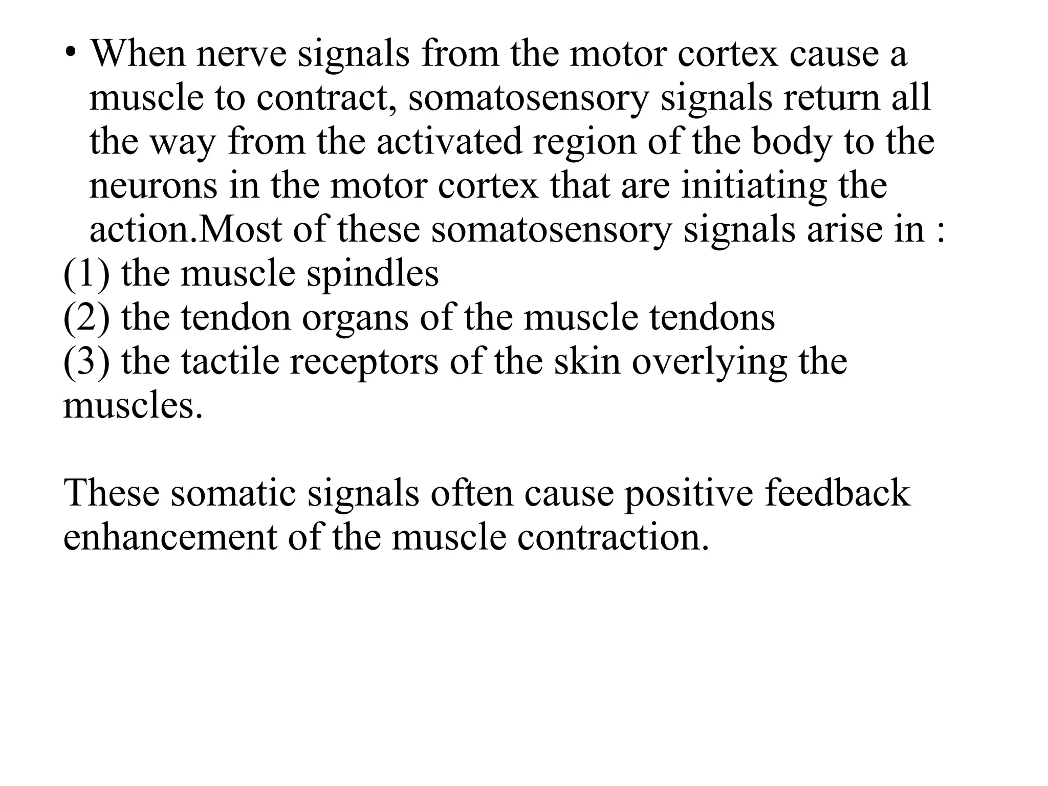 • When nerve signals from the motor cortex cause a
muscle to contract, somatosensory signals return all
the way from the activated region of the body to the
neurons in the motor cortex that are initiating the
action.Most of these somatosensory signals arise in :
(1) the muscle spindles
(2) the tendon organs of the muscle tendons
(3) the tactile receptors of the skin overlying the
muscles.
These somatic signals often cause positive feedback
enhancement of the muscle contraction.
 