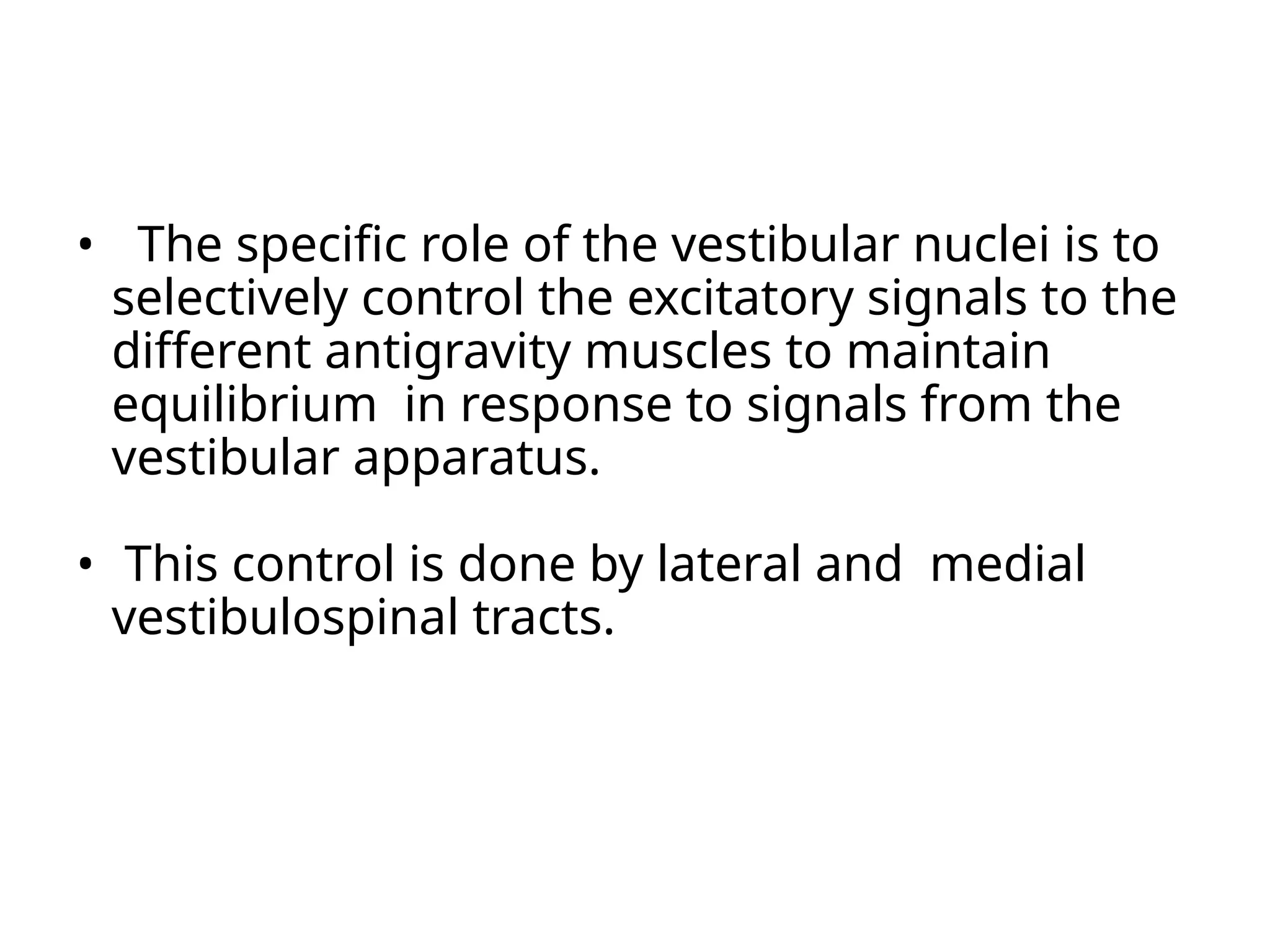 • The specific role of the vestibular nuclei is to
selectively control the excitatory signals to the
different antigravity muscles to maintain
equilibrium in response to signals from the
vestibular apparatus.
• This control is done by lateral and medial
vestibulospinal tracts.
 