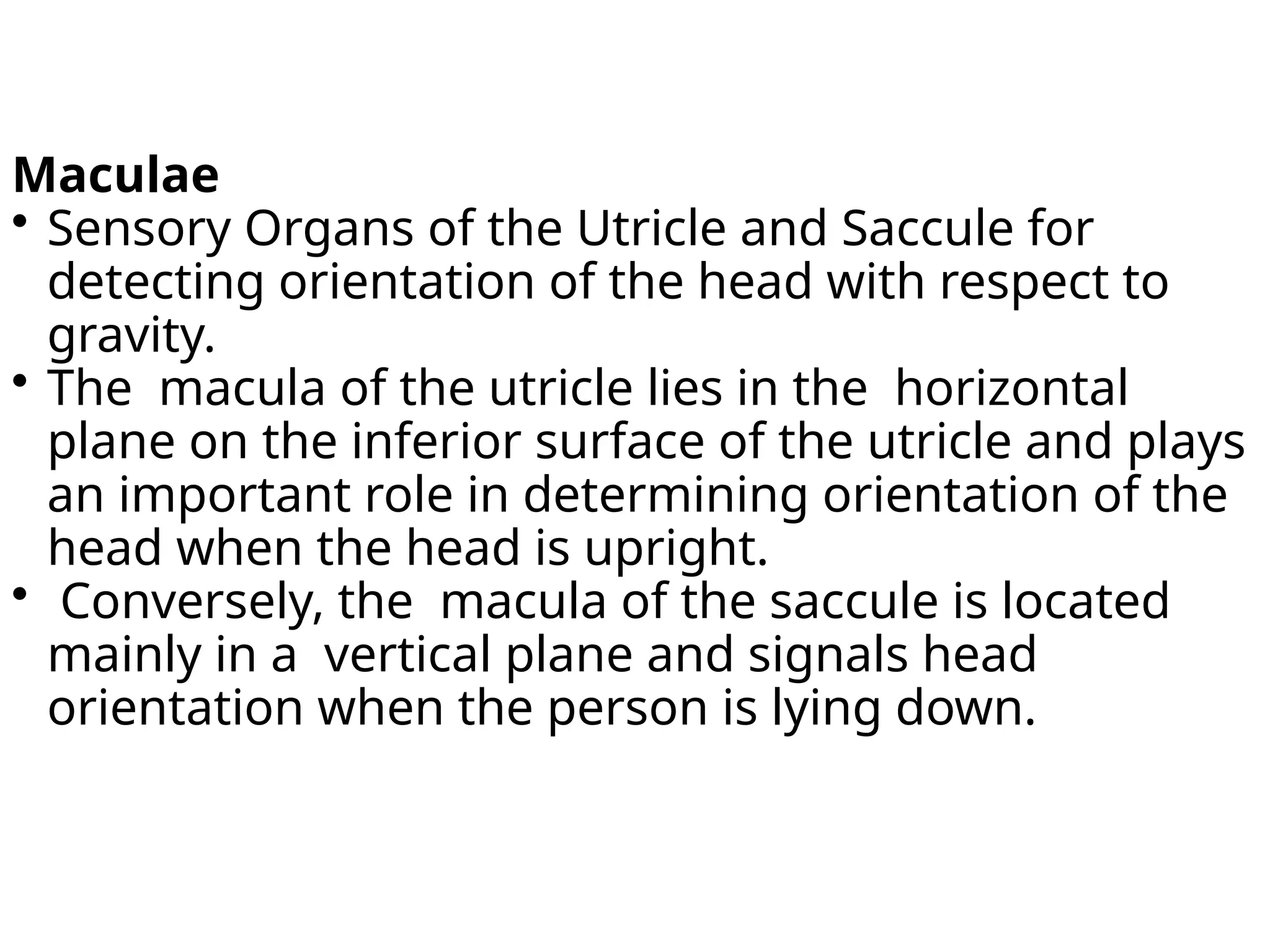 Maculae
 Sensory Organs of the Utricle and Saccule for
detecting orientation of the head with respect to
gravity.
 The macula of the utricle lies in the horizontal
plane on the inferior surface of the utricle and plays
an important role in determining orientation of the
head when the head is upright.
 Conversely, the macula of the saccule is located
mainly in a vertical plane and signals head
orientation when the person is lying down.
 