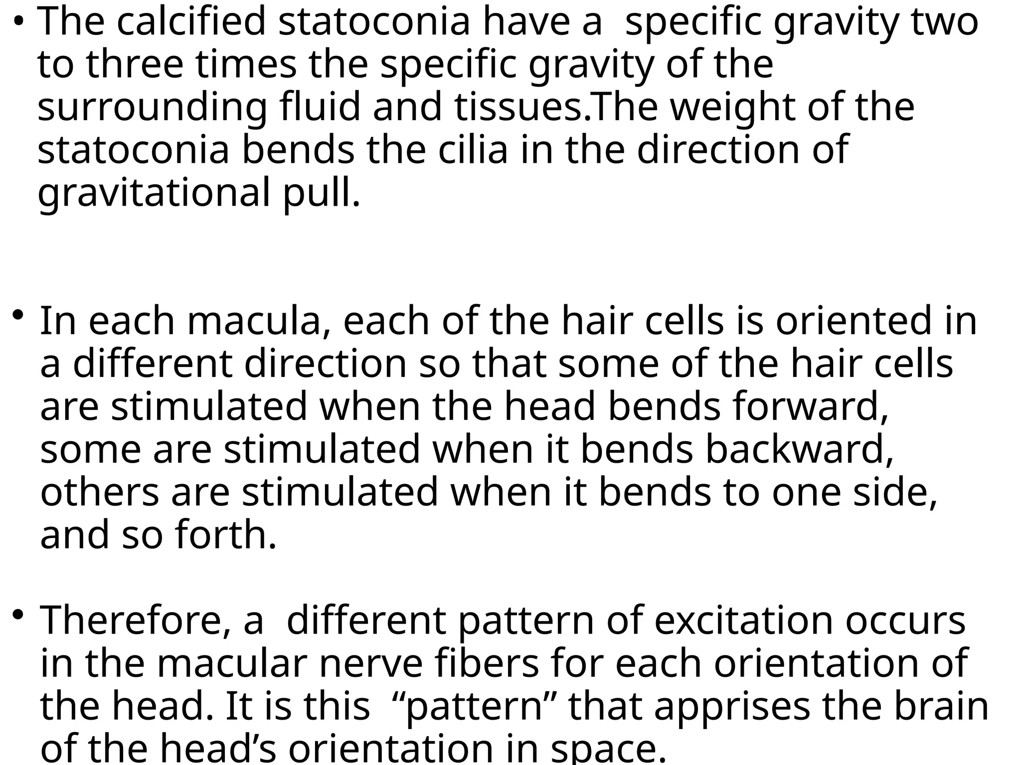 • The calcified statoconia have a specific gravity two
to three times the specific gravity of the
surrounding fluid and tissues.The weight of the
statoconia bends the cilia in the direction of
gravitational pull.
 In each macula, each of the hair cells is oriented in
a different direction so that some of the hair cells
are stimulated when the head bends forward,
some are stimulated when it bends backward,
others are stimulated when it bends to one side,
and so forth.
 Therefore, a different pattern of excitation occurs
in the macular nerve fibers for each orientation of
the head. It is this “pattern” that apprises the brain
of the head’s orientation in space.
 