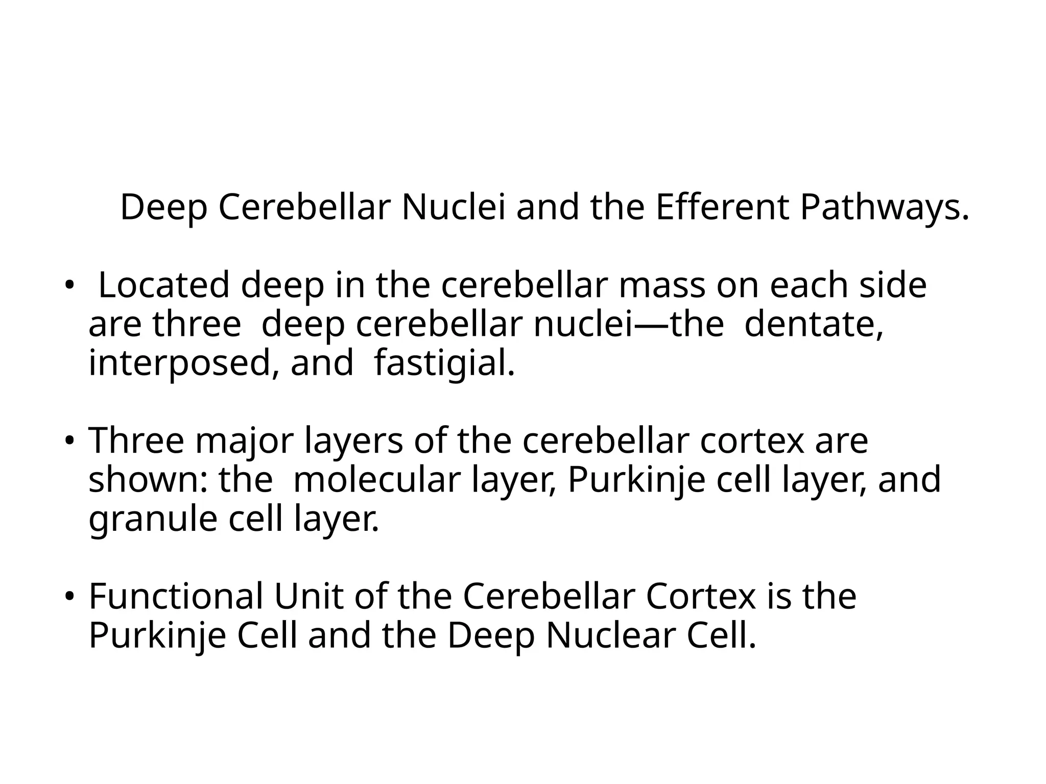 Deep Cerebellar Nuclei and the Efferent Pathways.
• Located deep in the cerebellar mass on each side
are three deep cerebellar nuclei—the dentate,
interposed, and fastigial.
• Three major layers of the cerebellar cortex are
shown: the molecular layer, Purkinje cell layer, and
granule cell layer.
• Functional Unit of the Cerebellar Cortex is the
Purkinje Cell and the Deep Nuclear Cell.
 