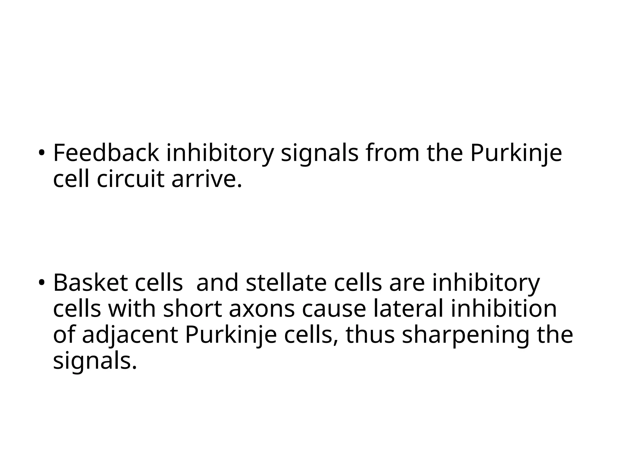 • Feedback inhibitory signals from the Purkinje
cell circuit arrive.
• Basket cells and stellate cells are inhibitory
cells with short axons cause lateral inhibition
of adjacent Purkinje cells, thus sharpening the
signals.
 