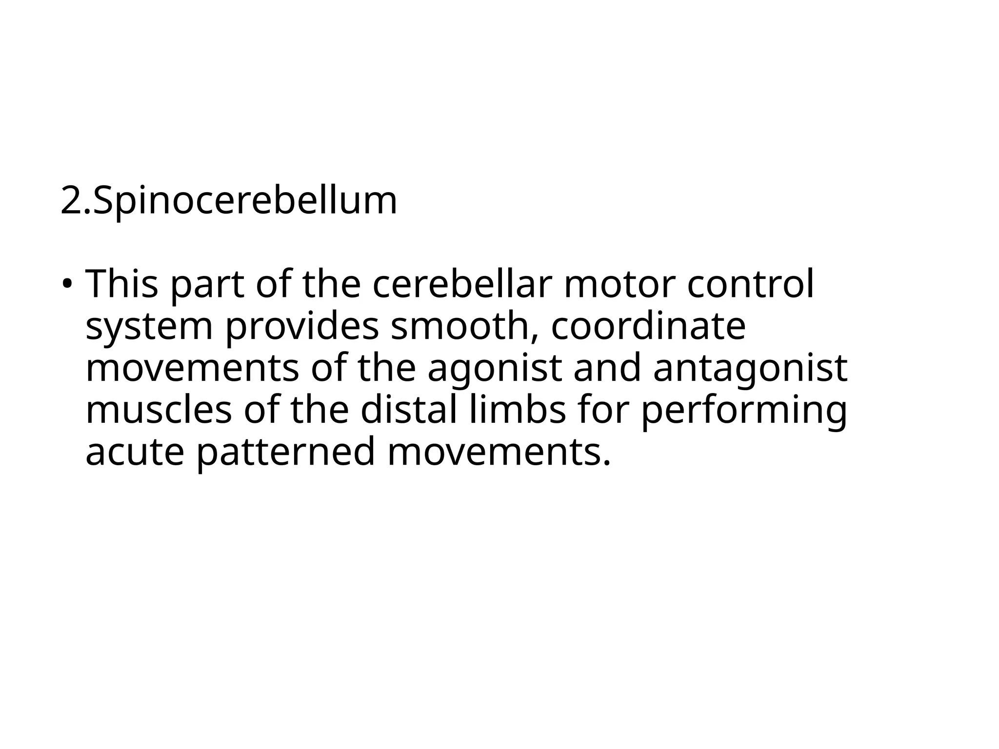 2.Spinocerebellum
• This part of the cerebellar motor control
system provides smooth, coordinate
movements of the agonist and antagonist
muscles of the distal limbs for performing
acute patterned movements.
 