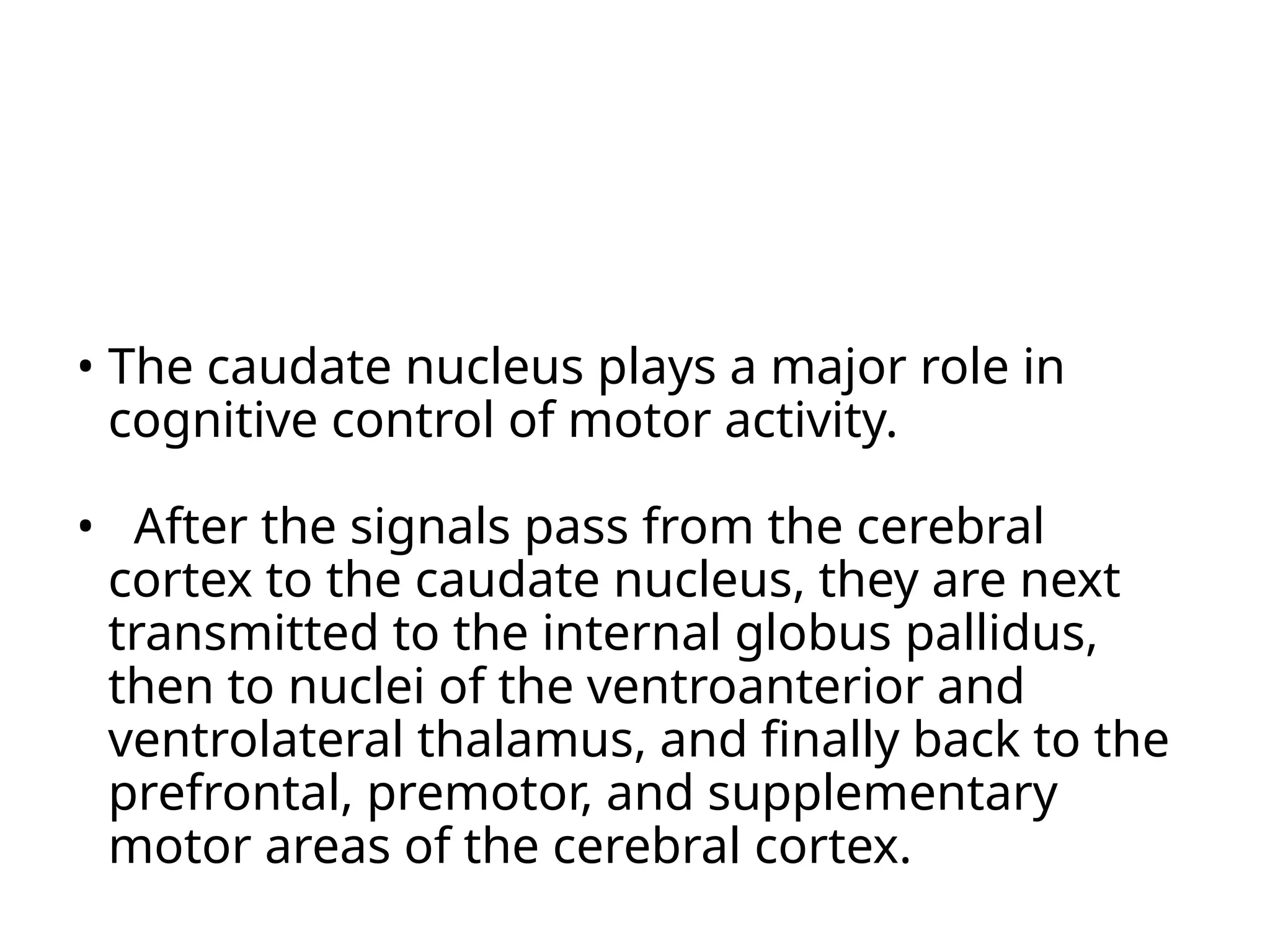 • The caudate nucleus plays a major role in
cognitive control of motor activity.
• After the signals pass from the cerebral
cortex to the caudate nucleus, they are next
transmitted to the internal globus pallidus,
then to nuclei of the ventroanterior and
ventrolateral thalamus, and finally back to the
prefrontal, premotor, and supplementary
motor areas of the cerebral cortex.
 
