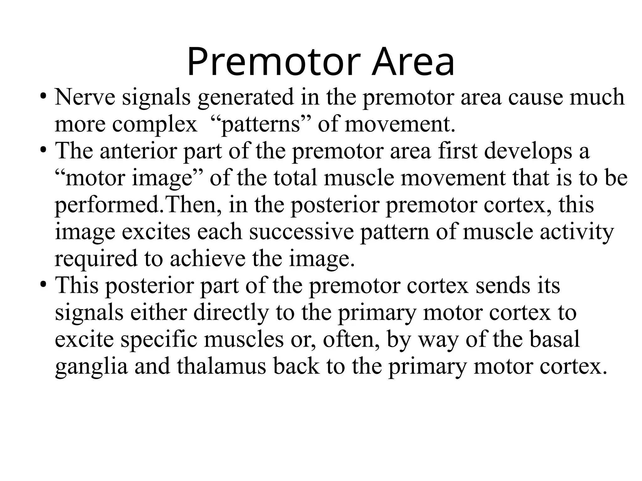 Premotor Area
• Nerve signals generated in the premotor area cause much
more complex “patterns” of movement.
• The anterior part of the premotor area first develops a
“motor image” of the total muscle movement that is to be
performed.Then, in the posterior premotor cortex, this
image excites each successive pattern of muscle activity
required to achieve the image.
• This posterior part of the premotor cortex sends its
signals either directly to the primary motor cortex to
excite specific muscles or, often, by way of the basal
ganglia and thalamus back to the primary motor cortex.
 