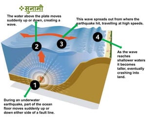 During an underwater
earthquake, part of the ocean
floor moves suddenly up or
down either side of a fault line.
The water above the plate moves
suddenly up or down, creating a
wave.
As the wave
reaches
shallower waters
it becomes
taller, eventually
crashing into
land.
This wave spreads out from where the
earthquake hit, travelling at high speeds.
सुनािी
 