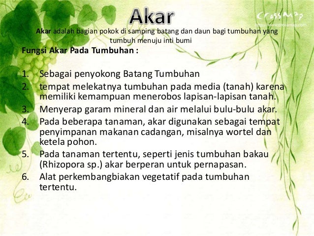 Tugas Biologi Kelas Viii Smp Tugas Biologi Kelas Viii Smp