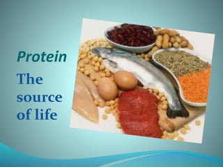 Protein
The
source
of life
 