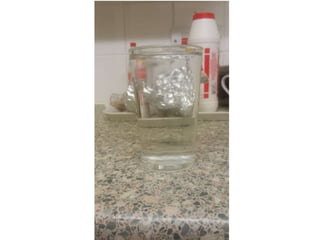 Example of Stop motion animation | PPT