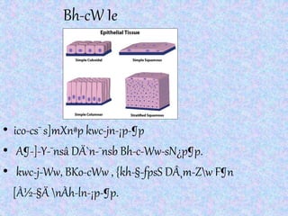 Bh-cW Ie
• ico-cs¯ s]mXnªp kwc-jn-¡p-¶p
• A¶-]-Y-¯nsâ DÄ`n-¯nsb Bh-c-Ww-sN¿p¶p.
• kwc-j-Ww, BKo-cWw , {kh-§-fpsS DÂ¸m-Zw F¶n
[À½-§Ä nÀh-ln-¡p-¶p.
 