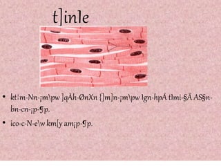 t]inIe
• kt¦m-Nn-¡mpw ]qÀh-ØnXn {]m]n-¡mpw Ign-hpÅ tImi-§Ä AS§n-
bn-cn-¡p-¶p.
• ico-c-N-ew km[y am¡p-¶p.
 