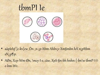 tbmPI Ie
• aäpIeIsf ]c-kv]cw _Ôn-¸n-¡p-Itbm Ahbv¡v Xm§mbn hÀ¯n¡pItbm
sN¿p¶p.
• AØn, Xcp-Wm-Øn, mcy-I-e, càw, XpS-§n-bh hnhn-[-bnw tbmP-I-I-
e-bm-Wv.
 