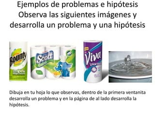 Ejemplos de problemas e hipótesis
Observa las siguientes imágenes y
desarrolla un problema y una hipótesis
Dibuja en tu hoja lo que observas, dentro de la primera ventanita
desarrolla un problema y en la página de al lado desarrolla la
hipótesis.
 