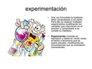 experimentación
• Una vez formulada la hipótesis,
debe comprobarse si es cierta.
Para ello se realizan múltiples
experimentos modificando las
variables que intervienen en el
proceso y comprobará si se
cumple su hipótesis.
• Experimentar consiste en
reproducir y observar varias veces
el hecho o fenómeno que se
quiere estudiar, modificando las
circunstancias que se consideren
convenientes.
 