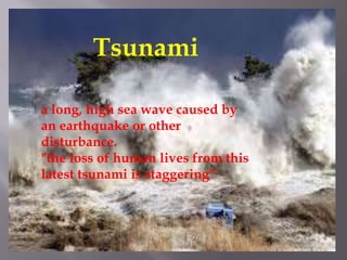 Tsunami
a long, high sea wave caused by
an earthquake or other
disturbance.
"the loss of human lives from this
latest tsunami is staggering"
 