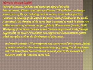 Harm to human health:
More skin cancers, sunburns and premature aging of the skin.
More cataracts, blindness and other eye diseases: UV radiation can damage
several parts of the eye, including the lens, cornea, retina and conjunctiva.
Cataracts (a clouding of the lens) are the major cause of blindness in the world.
A sustained 10% thinning of the ozone layer is expected to result in almost two
million new cases of cataracts per year, globally (Environment Canada, 1993).
Weakening of the human immune system (immunosuppression). Early findings
suggest that too much UV radiation can suppress the human immune system,
which may play a role in the development of skin cancer.
In domestic animals, UV overexposure may cause eye and skin cancers. Species
of marine animals in their developmental stage (e.g. young fish, shrimp larvae
and crab larvae) have been threatened in recent years by the increased UV
radiation under the Antarctic ozone hole.
 