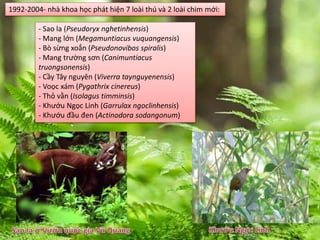 1992-2004- nhà khoa học phát hiện 7 loài thú và 2 loài chim mới:
- Sao la (Pseudoryx nghetinhensis)
- Mang lớn (Megamuntiacus vuquangensis)
- Bò sừng xoắn (Pseudonovibos spiralis)
- Mang trường sơn (Canimuntiacus
truongsonensis)
- Cầy Tây nguyên (Viverra taynguyenensis)
- Voọc xám (Pygathrix cinereus)
- Thỏ vằn (Isolagus timminsis)
- Khướu Ngọc Linh (Garrulax ngoclinhensis)
- Khướu đầu đen (Actinodora sodangonum)
 