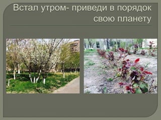 Экологические проблемы вокруг нас