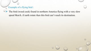 Example of a flying bird :
 The bird (wood cock) found in northern America flying with a very slow
speed 8km/h. if earth rotate then this bird can’t reach its destination.
 