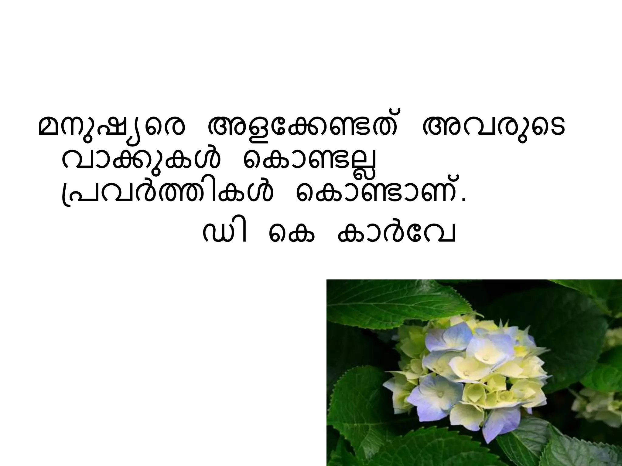 sanila ppt | PPTX
