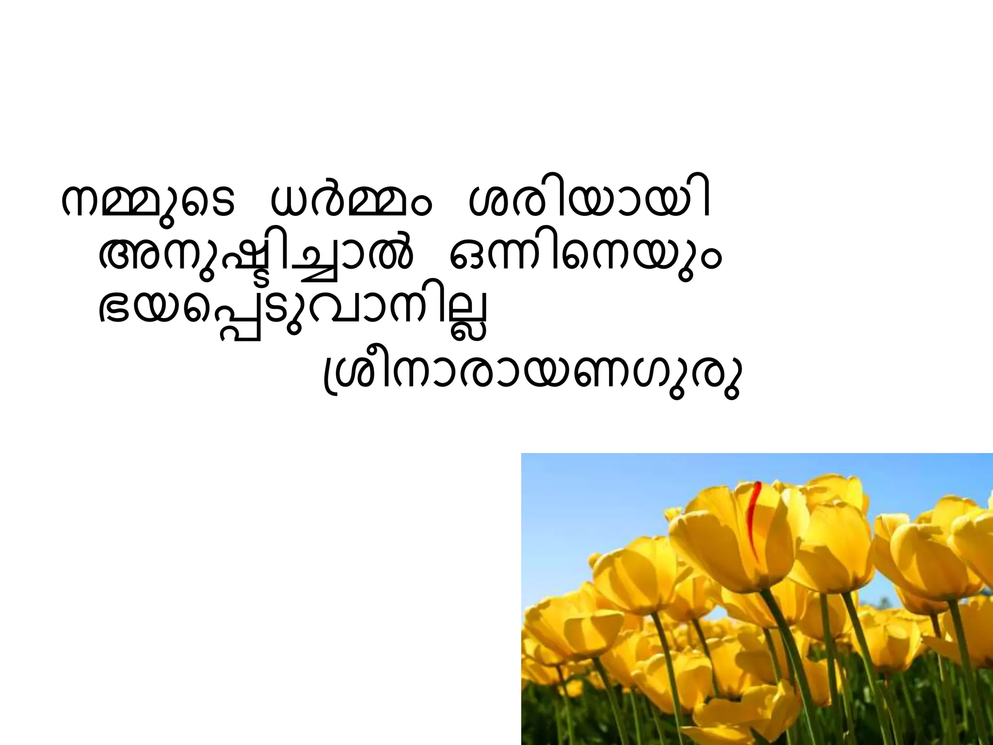 sanila ppt | PPTX