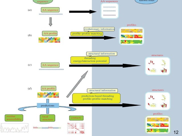 methods for protein structure prediction | PPT | Chemistry | Science