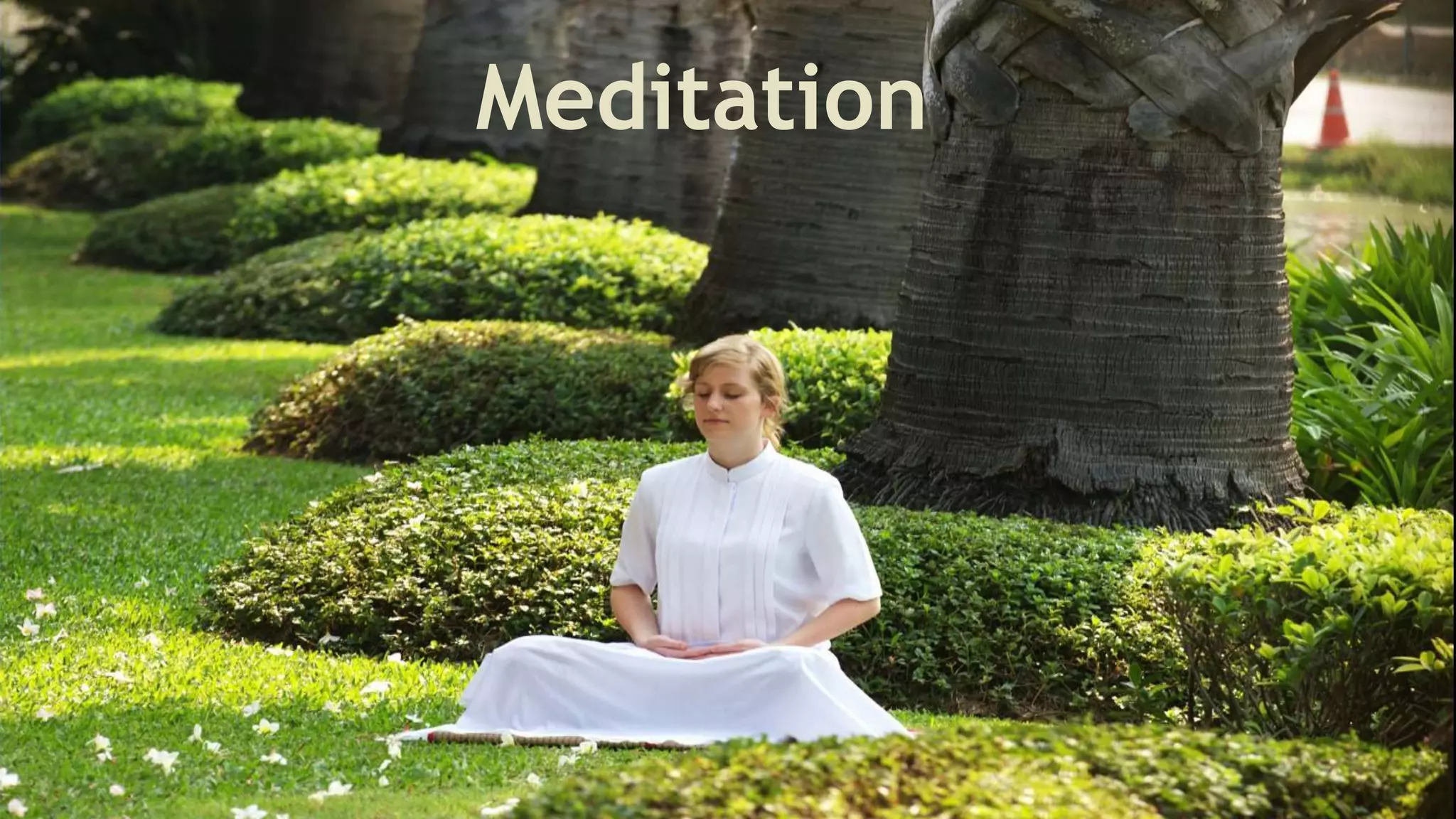 Meditation