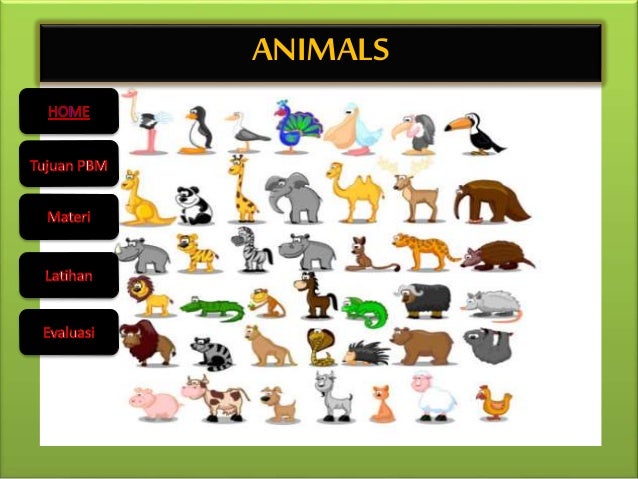 Pembelajaran Bahasa  Inggris  kelas 4 tentang  Hewan 