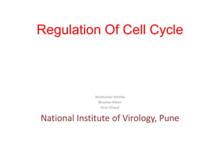 Regulation Of Cell Cycle
Shubhankar Ambike
Bhushan Nikam
Kiran Ghayal
National Institute of Virology, Pune
 
