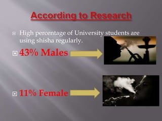  High percentage of University students are
using shisha regularly.
43% Males
11% Female