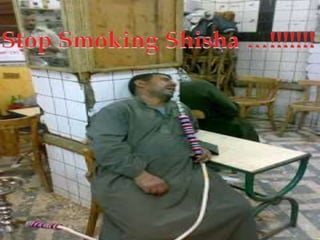 Shisha
