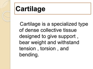 Cartilage
Cartilage is a specialized type
of dense collective tissue
designed to give support ,
bear weight and withstand
tension , torsion , and
bending.
 