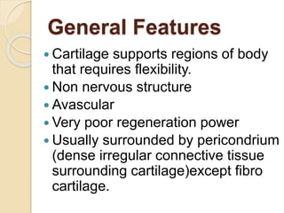 General Features
 Cartilage supports regions of body
that requires flexibility.
 Non nervous structure
 Avascular
 Very poor regeneration power
 Usually surrounded by pericondrium
(dense irregular connective tissue
surrounding cartilage)except fibro
cartilage.
 
