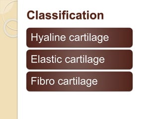 Classification
Hyaline cartilage
Elastic cartilage
Fibro cartilage
 