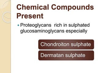 Chemical Compounds
Present
 Proteoglycans rich in sulphated
glucosaminoglycans especially
Chondroiton sulphate
Dermatan sulphate
 