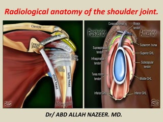 Dr/ ABD ALLAH NAZEER. MD.
Radiological anatomy of the shoulder joint.
 