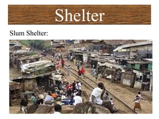 Shelter
Slum Shelter:
 