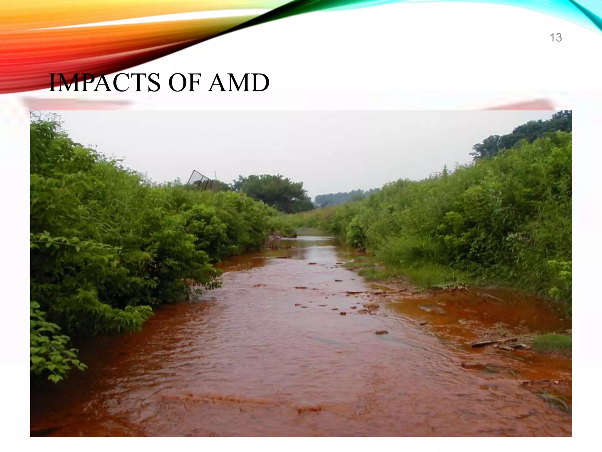 13
IMPACTS OF AMD
 
