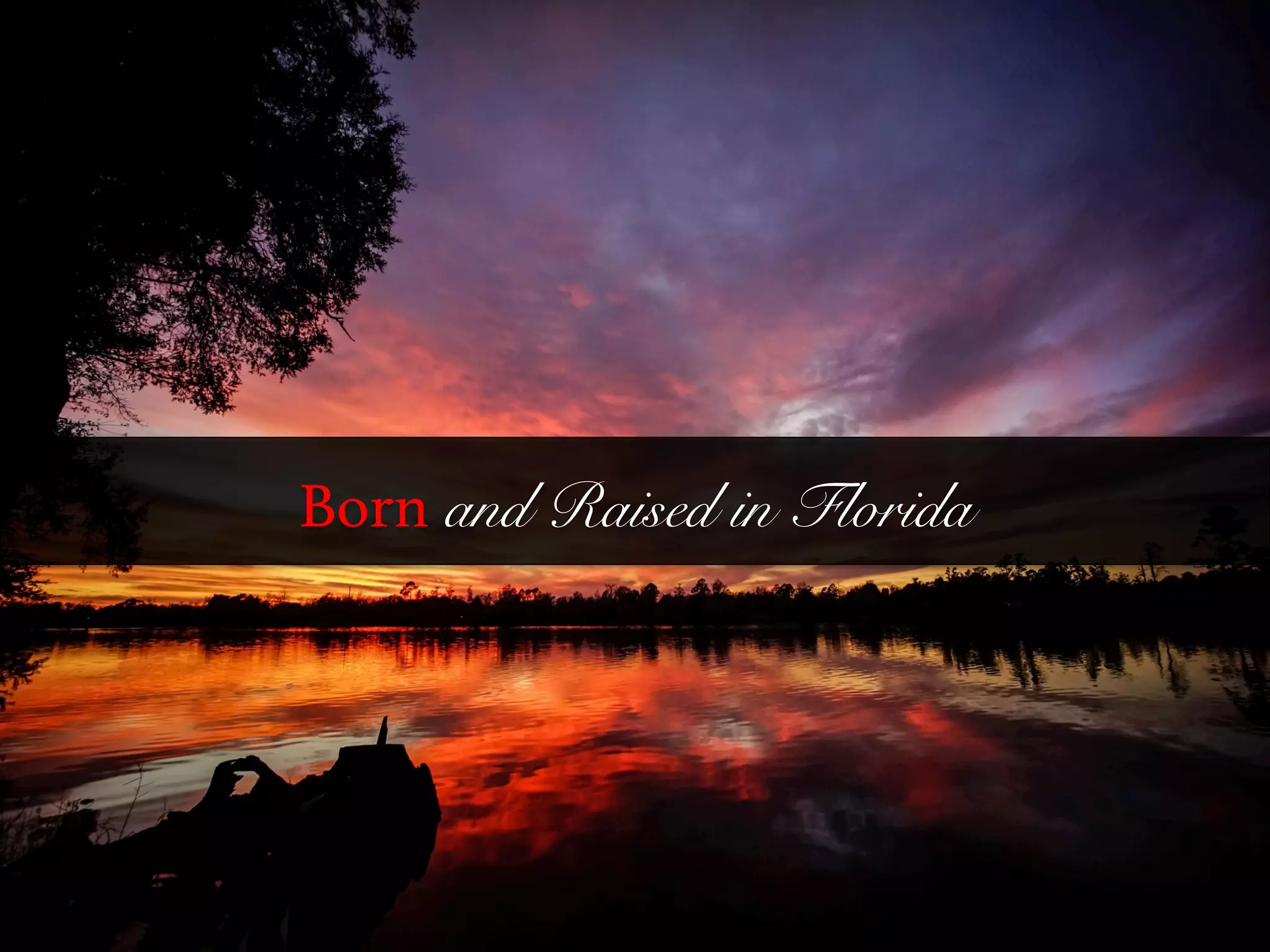Born and Raised in Florida
h*ps://www.ﬂickr.com/photos/81217355@N00/12060070133/	
  	
  
 