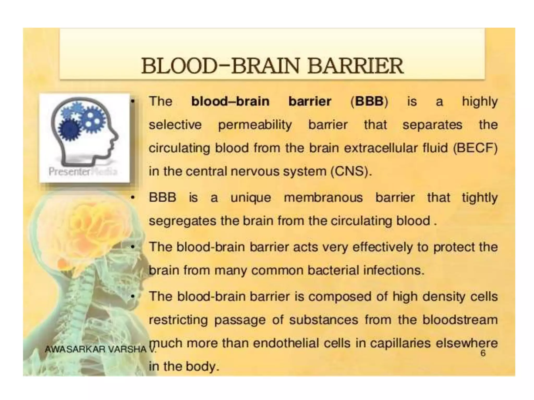 Blood brain barrier | PPTX