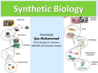 Synthetic Biology
Presenting By
Ijaz Muhammad
M.Phil Zoology (1st Semester)
AWKUM-UCS Shankar Campus
1
 