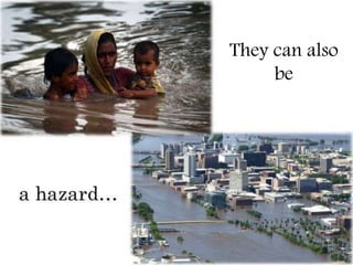 They can also
be
 