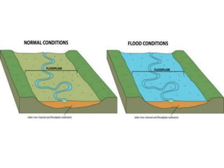 Chennai Floods 2015
