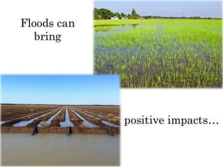 FLOODS
 