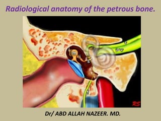 Dr/ ABD ALLAH NAZEER. MD.
Radiological anatomy of the petrous bone.
 